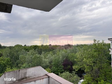 Apartament 2 camere mobilat Tineretului-Vacaresti