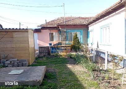 Palazu Mare, Constanta