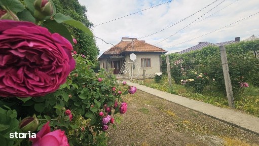 Caută anunțuri Search. Casă de Vanzare Târgu Jiu, Calea Severinului