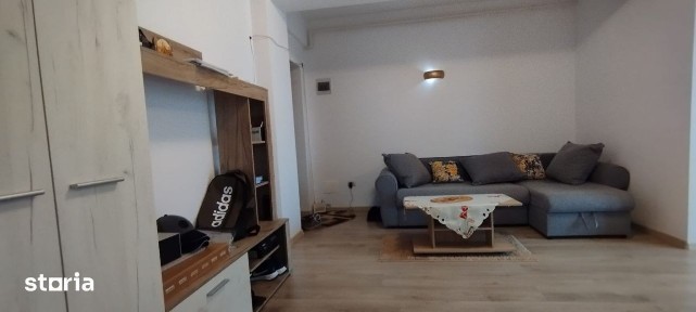 APARTAMENT 2 CAMERE, PARTER, PET FRIENDLY, PARCARE, POPAS PACURARI