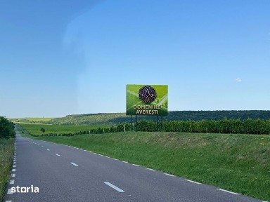 Casa P+M si Teren 4770mp Domeniile Averesti