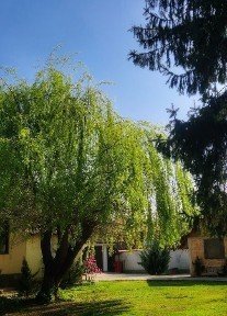 Vilă de vânzare ultracentral Tecuci