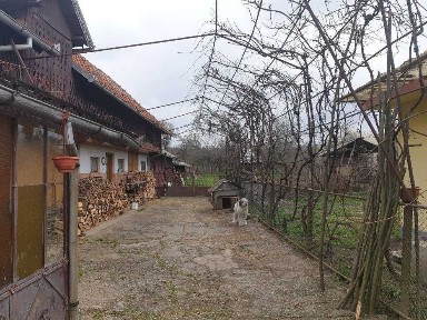 Vand casa cu livada in Berevoesti Arges