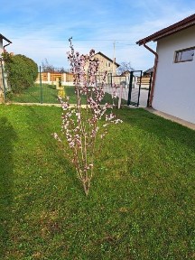 Casa moderna intr-un peisaj de vis,situata intre Pitesti si Valcea
