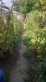 Giurgiu