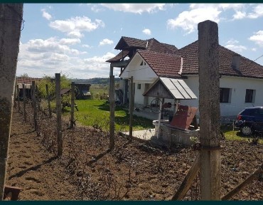 Mehedinti, Floresti