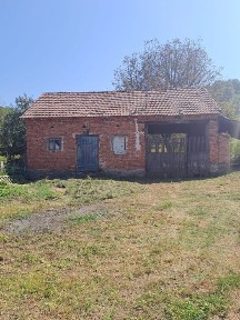 Hunedoara, Densus