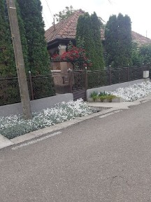 De vânzare casă în Com.Sânpaul