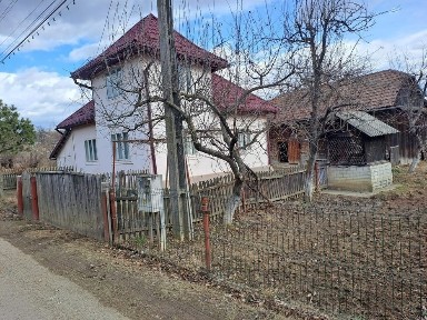 Suceava, Cacica