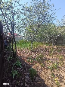 strada fructelor, Targoviste, Dambovita