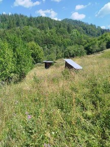 Vand Casa si Teren Sat Vadu Oii, Gura Teghii
