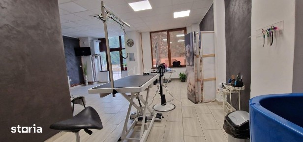 Resita Central Spatiu Comercial Judecatorie