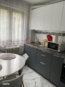 Apartament 2 Camere - Etaj 1 - Renovat - Tatarasi