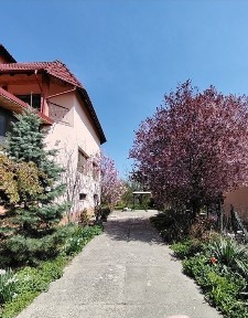 Casa de vanzare,Stefanesti