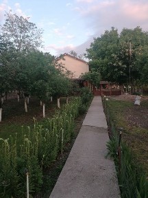 Casă cu 2 apartamente, intrări separate - Malu Mare - teren 2365 m², a