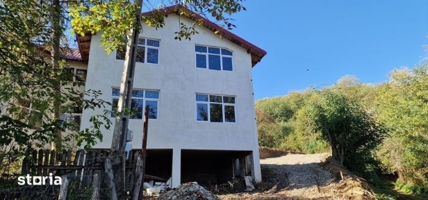 Vila vanzare Cotofenesti