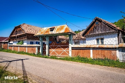 Remus Lacatusu 58, Magiresti - pentru cei care au decis ca vor curte