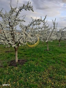 De vanzare Casuta bunicii