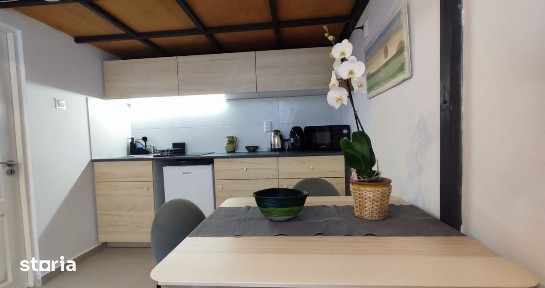 Apartament de vanzare Ultracentral, ideal investitie