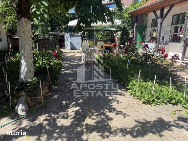 Două case de vânzare în aceeași curte zona Maria