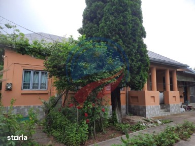 Casa de vanzare/Balcesti/Valcea/Str Pietii