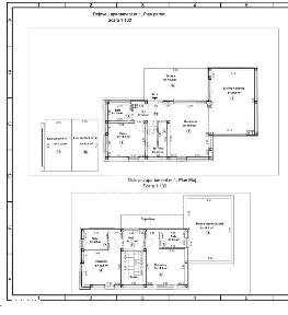 Casa Eco cu 4 camere, 3 bai, in Dumbravita
