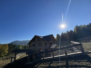Pensiune Colibita