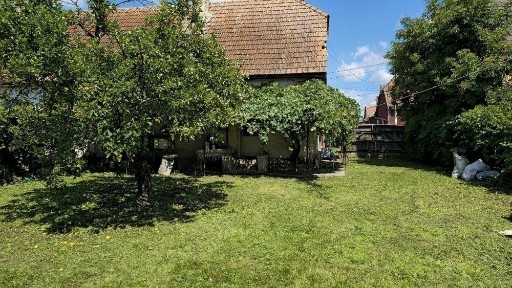 Vand/schimb teren intravilan,casa inclusă, Buduș