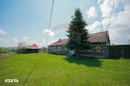 De vânzare casă cu teren și pădure 55706 mp - Șinteu, Valea Târnei