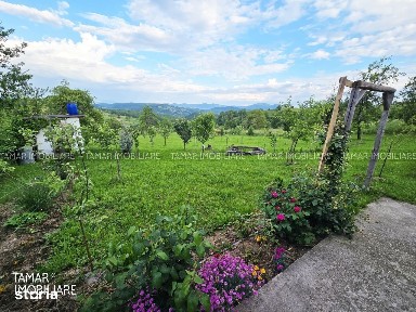 Gurahont, Arad
