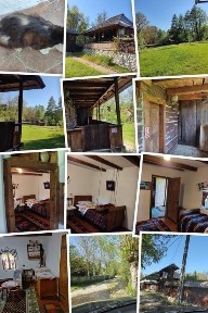 Vând proprietate la munte,potențial turistic.Zona Polovragi-Racovița-Gorj.