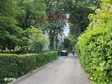 Strada Ion Luca Caragiale, Libertatii, Targu Mures, Mures