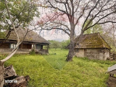 CASA TRADITIONALA DESESTI+TEREN 7.295