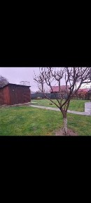 Vând cabana Moldovenesti jud.Cluj