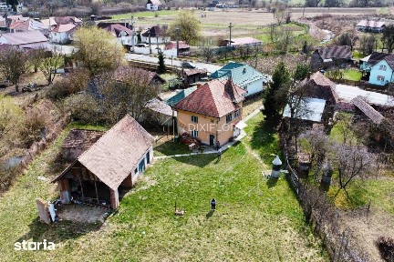 Vanatori, Mures