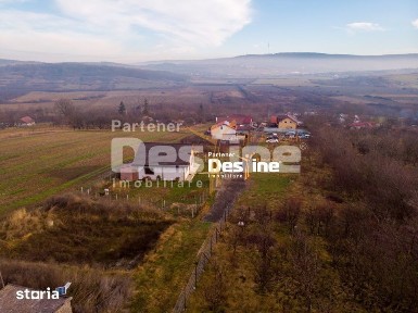 Ciurea, Iasi