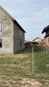 Timis, Sannicolau Mare