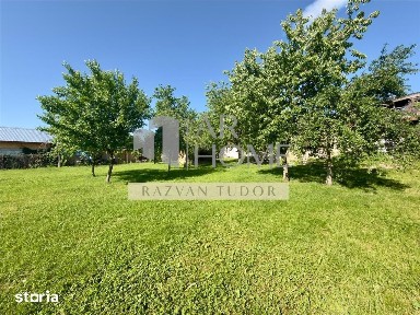 Casa 4 camere, cu beci, 1681m2 teren, Boldesti Scaeni
