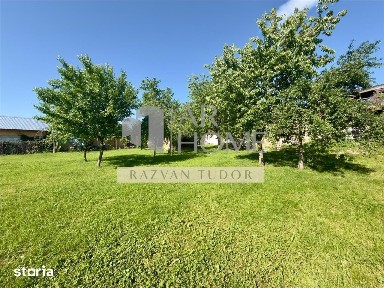 Casa 4 camere, cu beci, 1681m2 teren, Boldesti Scaeni