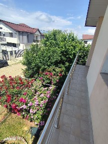 Oaza de liniste