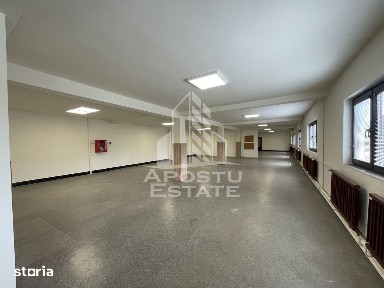 Cladire P+1E+M, 800 mp, teren 1200 mp, Central Dumbravita