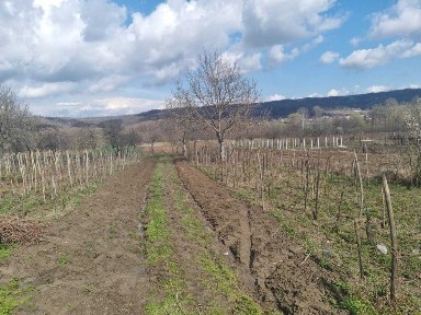 Casă de vânzare Comuna Crețeni, județul Vâlcea la 12 km de Dragasani