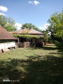 Casa de vanzare in Merii Petchii, Nuci, jud Ilfov