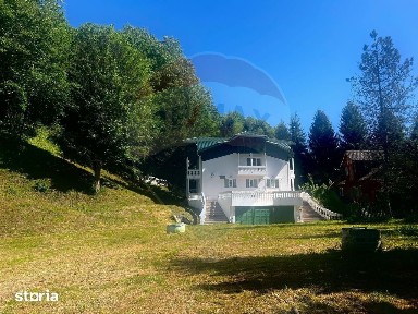 Casă / Vilă 10 camere Lepsa