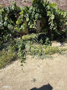 Casă veche în Bazos cu teren 1439 mp