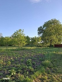 gospodarie completa+ teren 7200mp, centru loc. Galbeni Filipesti Bacau