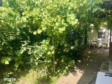 Casa individuala cu gradina - Lunei - oportunitate rara de investiti