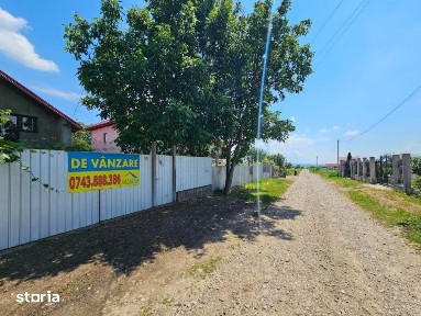 Luizi-Calugara, Bacau