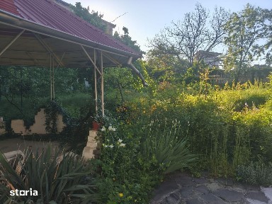 Central-Gh. Doja, casa 3 cam., buc., gr.san., ST-1056mp, 300000e