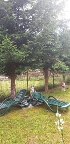 Vand vila la cheie Lepsa
